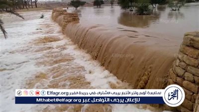 1631 منشأة للحماية من السيول.. الري تكشف عن استعداداتها لفصل الشتاء (فيديو)