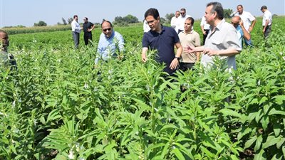 رئيس جامعة بنها يتفقد الموسم الصيفي للمزارع بكلية الزراعة