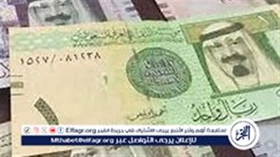 سعر الريال السعودي مقابل الجنيه المصري اليوم الأحد 11 أغسطس 2024