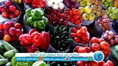 أسعار الخضروات اليوم الأحد 11-8-2024 في المنيا