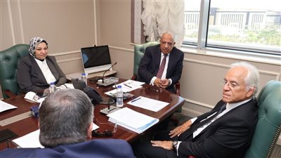 وزير الكهرباء يبحث مع رئيس مجموعة 