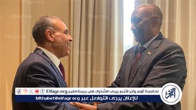عاجل| وزير الخارجية يلتقي رئيس مجلس السيادة الانتقالي للسودان