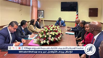 عاجل| وزير الخارجية ينقل رسالة من السيسي لنظيره الكيني