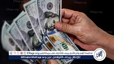 استقرار سعر الدولار مقابل الجنيه المصري اليوم الاثنين 12 أغسطس 2024