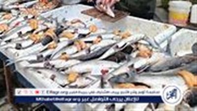 أسعار الأسماك اليوم الجمعة 25 - 10 - 2024 في الدقهلية