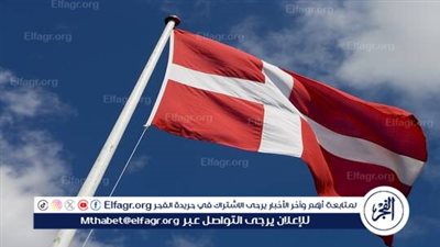  تحرك واسع في الدنمارك بعد انتشار إعلان سويدي مشفر يطلب قتلة مأجورين مقابل مبالغ كبيرة