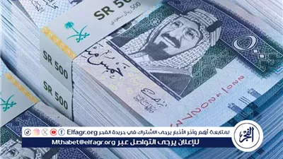 تحديث جديد.. تباين أسعار الريال السعودي أمام الجنيه المصري في البنوك المصرية اليوم 13 أغسطس 2024