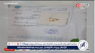 مواجهة ساخنة بين والدة الطفل الذي يتبول أحجارًا كريمة واستشاري مسالك بولية 