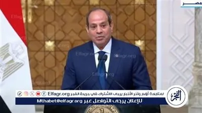 السيسي: مصر ستتولَّى رئاسة مجلس السلم والأمن الأفريقى أكتوبر المقبل