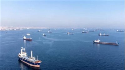 تداول 35 سفينة للحاويات والبضائع بميناء دمياط