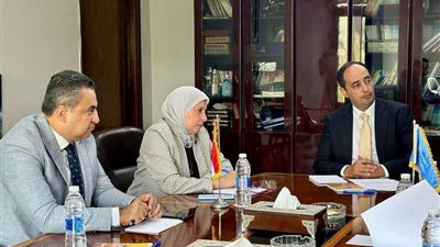 صندوق مكافحة الإدمان يعقد اجتماعًا لإجراء البحث القومي لتعاطي المخدرات