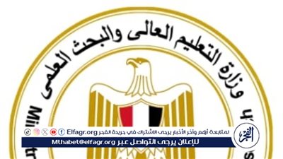 التعليم العالي: غلق كيان وهمي جديد بالقاهرة