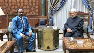 شيخ الأزهر يستقبل رئيس المجلس الأعلى للغة العربية في إفريقيا
