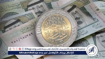 استقرار أسعار الريال السعودي مقابل الجنيه المصري مع اختلافات طفيفة بين البنوك اليوم الجمعة 16 أغسطس 2024