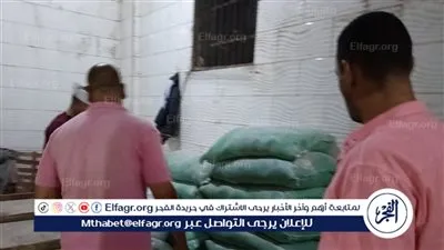 تحرير 173 محضرًا لمخالفة تموينية بالمخابز البلدية في بني سويف