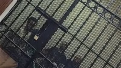 تأجيل محاكمة المتهم بقتل صديقه وتهشيم رأسه بأوسيم 