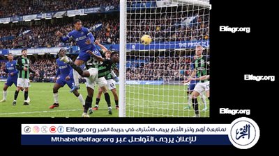 برايتون يكثف جهوده لخطف هدف تشيلسي