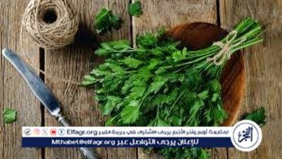 ارتفاع أسعار الكزبرة والبقدونس.. تعرف على أسعار الخضروات والفاكهة اليوم الاثنين 19 أغسطس 2024