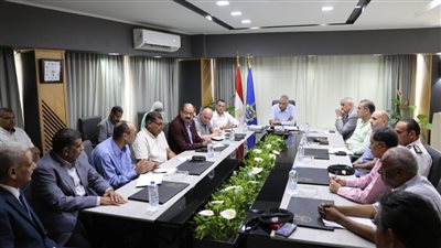 محافظ أسوان يترأس الاجتماع التنسيقي لتسهيل الحركة بين مصر والسودان عبر الموانئ البرية بأرقين وقسطل