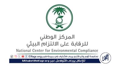 خلال 45 يومًا.. 