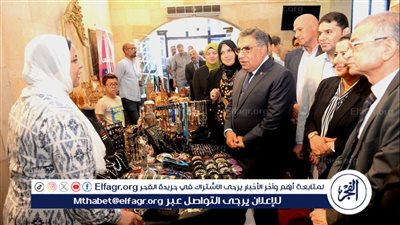  المكتبة العامة بالدقهلية: مبادرة 