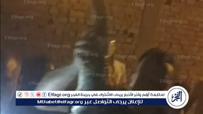 بعد البحث يومين.. العثور علي تمساح طوله ١١٠ سم أثار ذعر أهالي أبو صير بالبدرشين| فيديو 