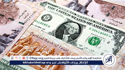 اقتصادي: زمن السوق السوداء للدولار انتهى.. وتوقعات بزيادة سعر الجنيه (فيديو)
