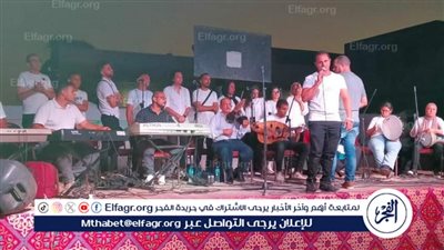 إقبال كبير على ورش الأطفال والعروض الموسيقية في ختام القافلة الثقافية بقرية فيشا بالبحيرة