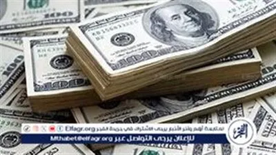 استقرار سعر الدولار مقابل الجنيه المصري اليوم الأحد 25 أغسطس 2024: تحليل شامل لأحدث أسعار الصرف في البنوك المصرية