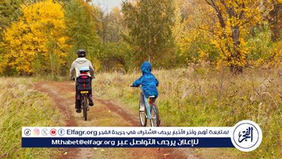 استكشاف متعة فصل الخريف: أنشطة وأفكار مبتكرة للاستمتاع بالجو المعتدل