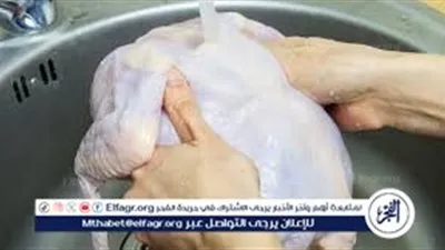 غسل الدجاج بالماء ليست عادة صحية.. هذه الطريقة الصحيحة