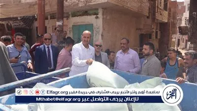 حماية المستهلك تحرر محاضر لتجميع 22 شيكارة دقيق مدعم ببني سويف