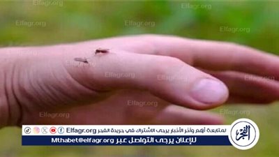 أعراض الإصابة بفيروس أوروبوش: دليل شامل