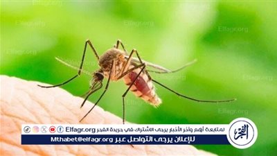 كيفية الوقاية من الإصابة بفيروس أوروبوش: خطوات أساسية