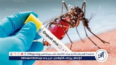 أعراض فيروس أوروبوش: ما يجب معرفته عن هذا الفيروس النادر