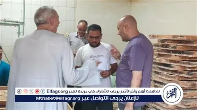 في حملات الفجر.. تحرير 86 محضر تمويني وضبط 3 طن دقيق ببني سويف