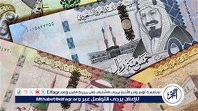  تراجع سعر الريال السعودي مقابل الجنيه المصري اليوم الخميس 29 أغسطس 2024