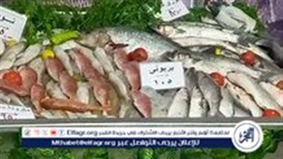 ارتفاع أسعار الأسماك اليوم الخميس 29 أغسطس 2024 في مصر