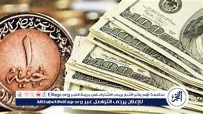 الجنيه يتماسك.. سعر الدولار اليوم في مصر السبت 31 أغسطس 2024