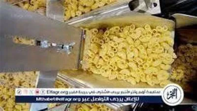 أسعار المكرونة اليوم السبت 31-8-2024 في أسواق ومحال المنيا