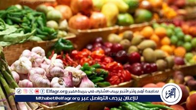 كم بلغت حجم الصادرات الزراعية المصرية خلال عام 2024؟