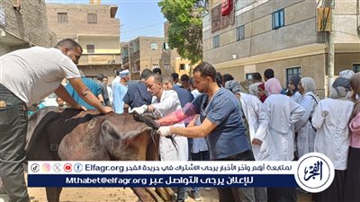 جامعة سوهاج تطلق قافلتها البيطرية المجانية لقرية اولاد عزاز وتعالج ٩٩٠ حيوانا