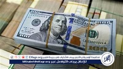 تحديث أسعار الدولار مقابل الجنيه المصري اليوم الأحد 1 سبتمبر 2024