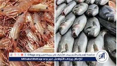 أسعار الأسماك اليوم السبت 19-10-2024 في الدقهلية