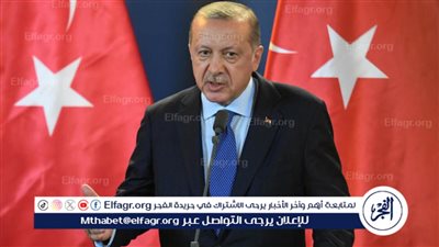 أردوغان: نواصل جهودنا لتعزيز الجسور الثقافية والإنسانية بين الشعبين التركي والمصري