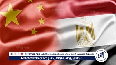 إعلامي صيني: مستعدون لمساعدة مصر في تنمية قدراتها الذاتية.. وزيارة رئيس الوزراء مهمة