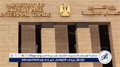 إنفراد.. ننشر وثيقة تكشف الاستيلاء على بضائع بقيمة 47 مليون جنيه بمشروع جمعيتي (مستند)