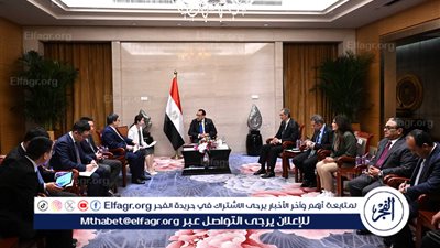 رئيس الوزراء يلتقي رئيس شركة 