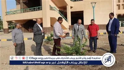 مبادرة 100 مليون شجرة.. جامعة سوهاج تواصل زراعة أشجار الزيتون والمانجو والبرتقال والتين