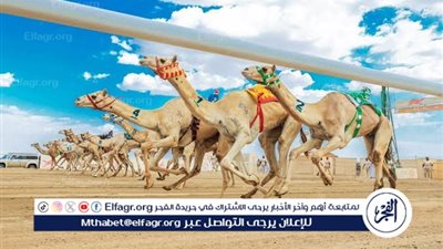 غدًا.. انطلاق فئة الـ 